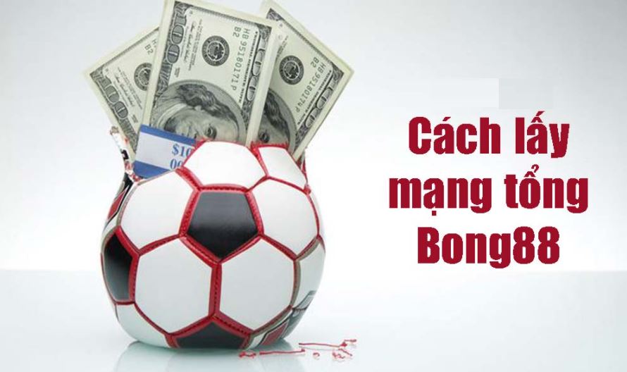 Lấy mạng tổng bong88 tại mangbong. với tỷ lệ hoa hồng cực cao