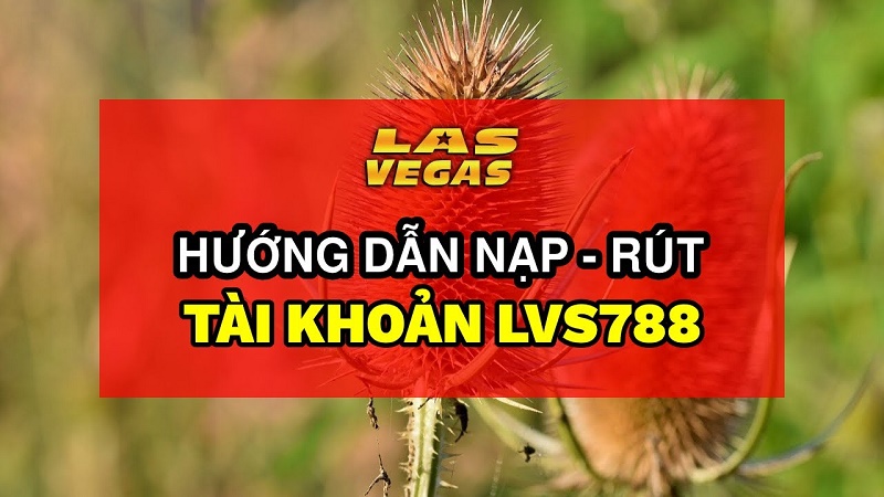 Hướng dẫn nạp – rút tiền LVS788