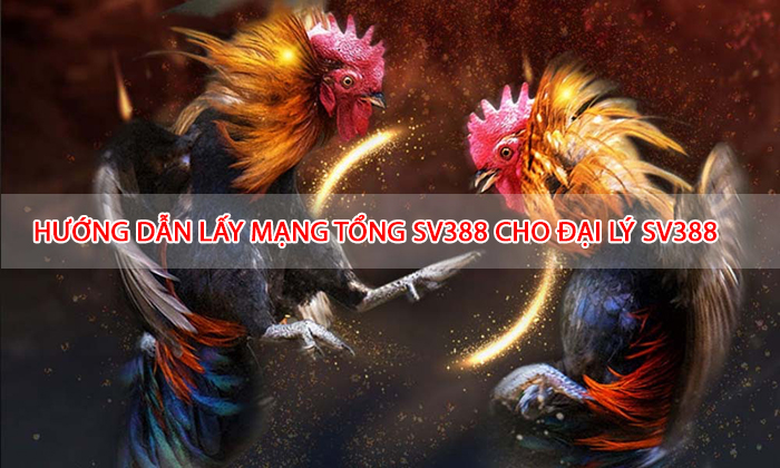 Lấy mạng tổng đá gà từ nhà cái SV388 