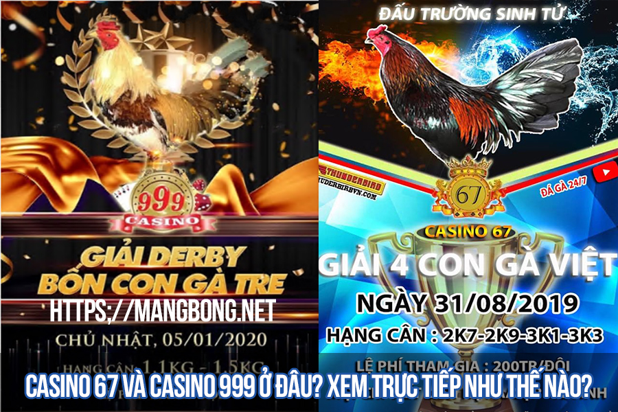 Casino 67 và casino 999 ở đâu?